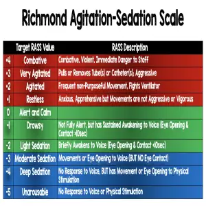 Richmond Agitation-Sedation Scale